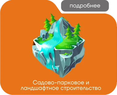 Садово-парковое и ландшафтное строительство