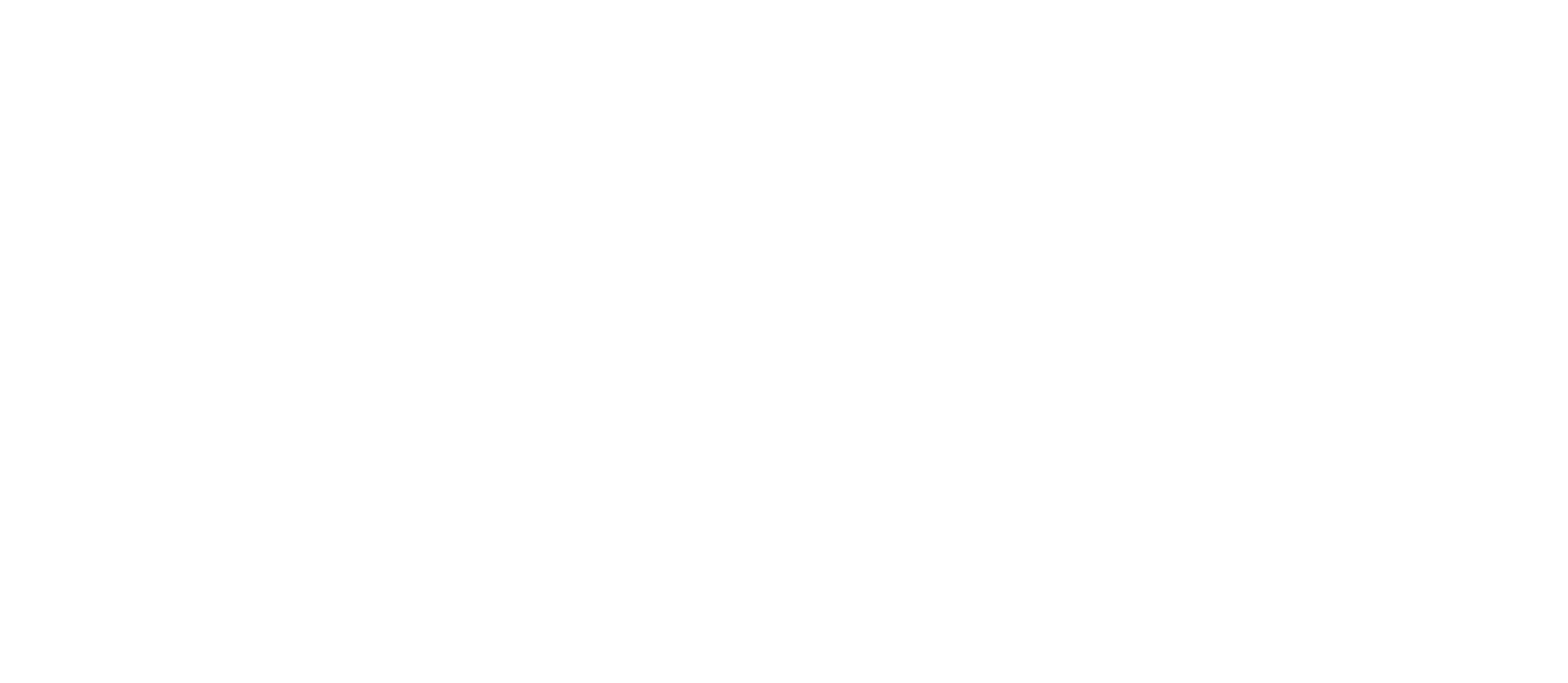Владивостокский государственный университет (ВВГУ)
